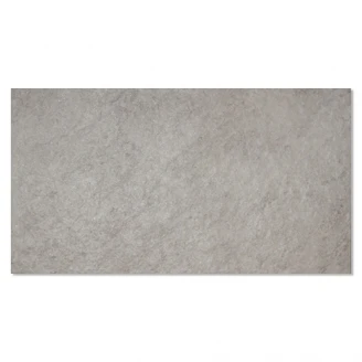 Gulvflis <strong>Kiev</strong>  Grå Matt-Sateng 31x56 cm